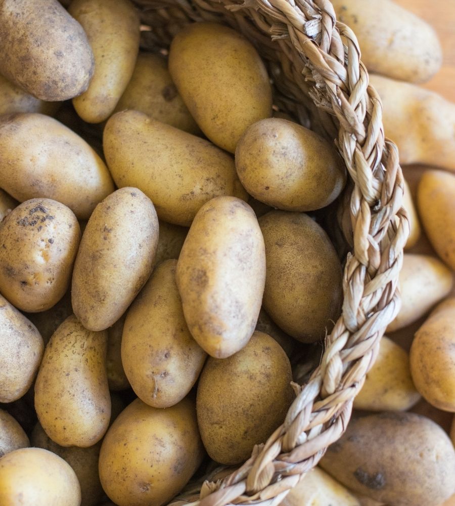 Kartoffelabo