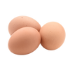 Eier