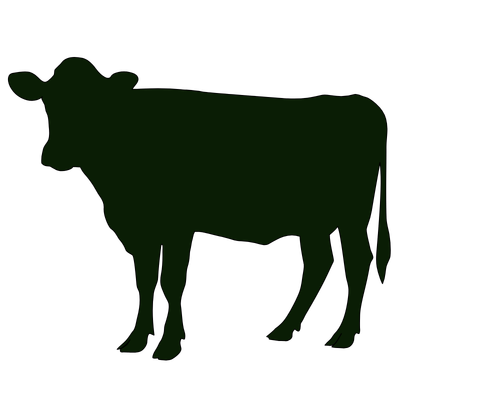 files/kuh_ganz_icon_dark.png